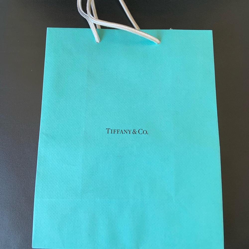 Tiffany & Co Gift Bag | Authentic | New